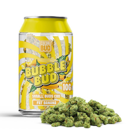 BUBBLE BUD COCORIBUD (10g) - alt