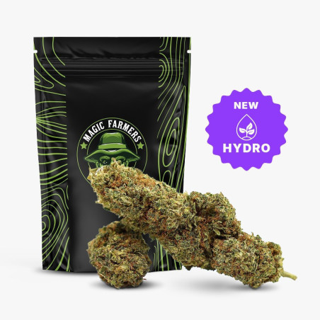 JEALOUSY 35% FLEUR THCA