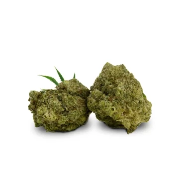 Champagne Haze THCJD 10%