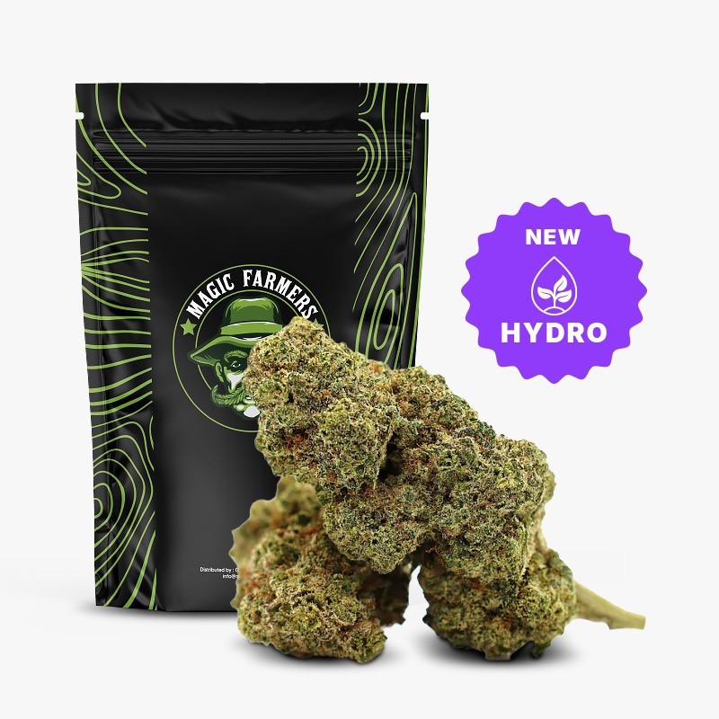 GAZ CANDY 36% FLEUR THCA