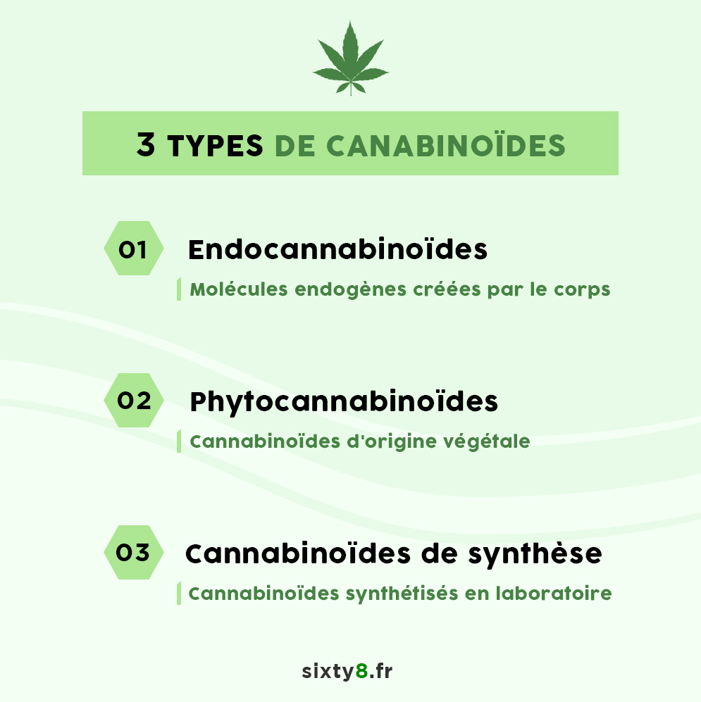 types de cannabinoides