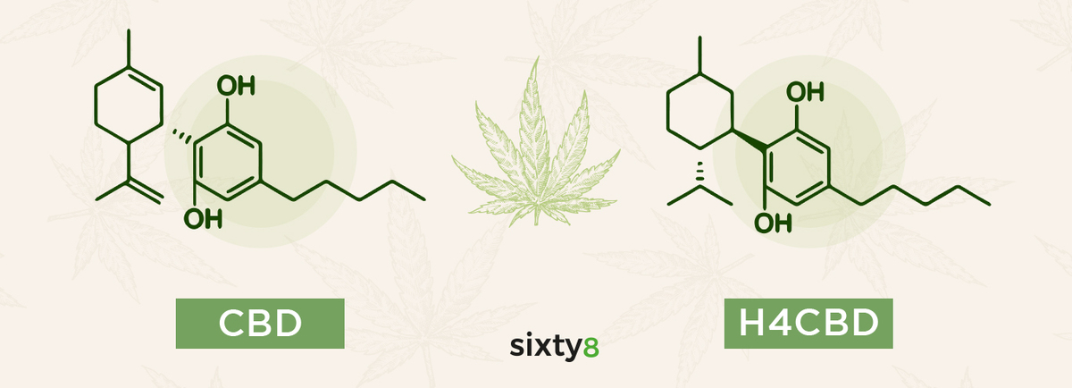 molécule h4cbd et cbd