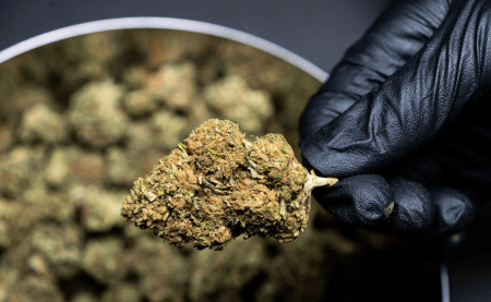 CBD Pas cher : trouvez des produits suisse au meilleur prix !