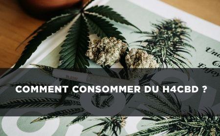 H4CBD : comment le consommer ?