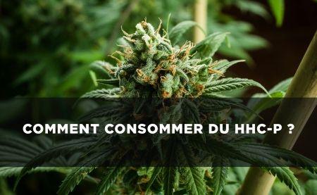 HHCP : Les méthodes pour le consommer