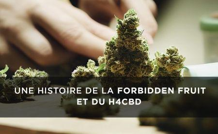 Forbiden Fruit H4CBD : L'histoire de cette variété