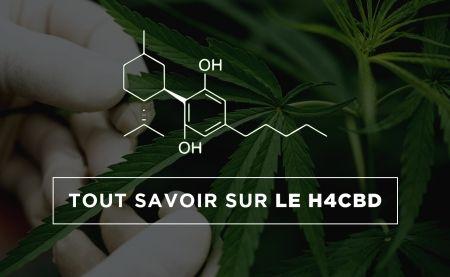 H4CBD/HHC : présentation de la nouvelle molécule à la mode