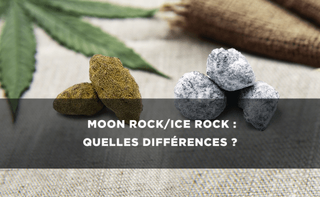 Moon rock & Ice Rock CBD : Quelle différence ?