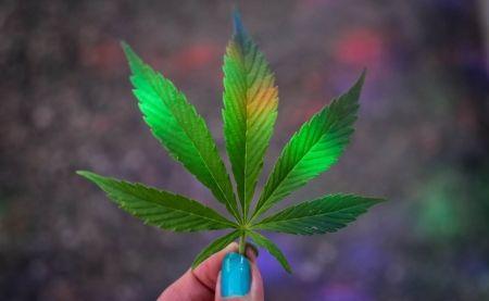 Décarboxylation du CBD : Qu'est-ce que c'est ?