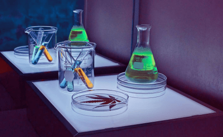 HHC : Qu'est ce que c'est ?