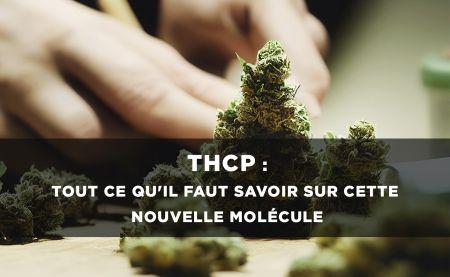 THCP : Une nouvelle molécule aux effets puissants