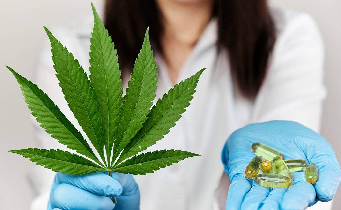 Główne kannabinoidy obecne w CBD i ich działanie