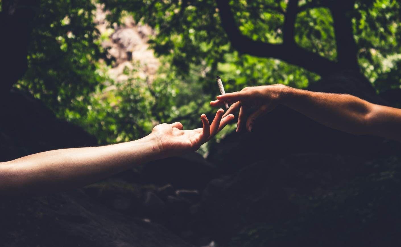 CBD: Wszystkie przydatne informacje