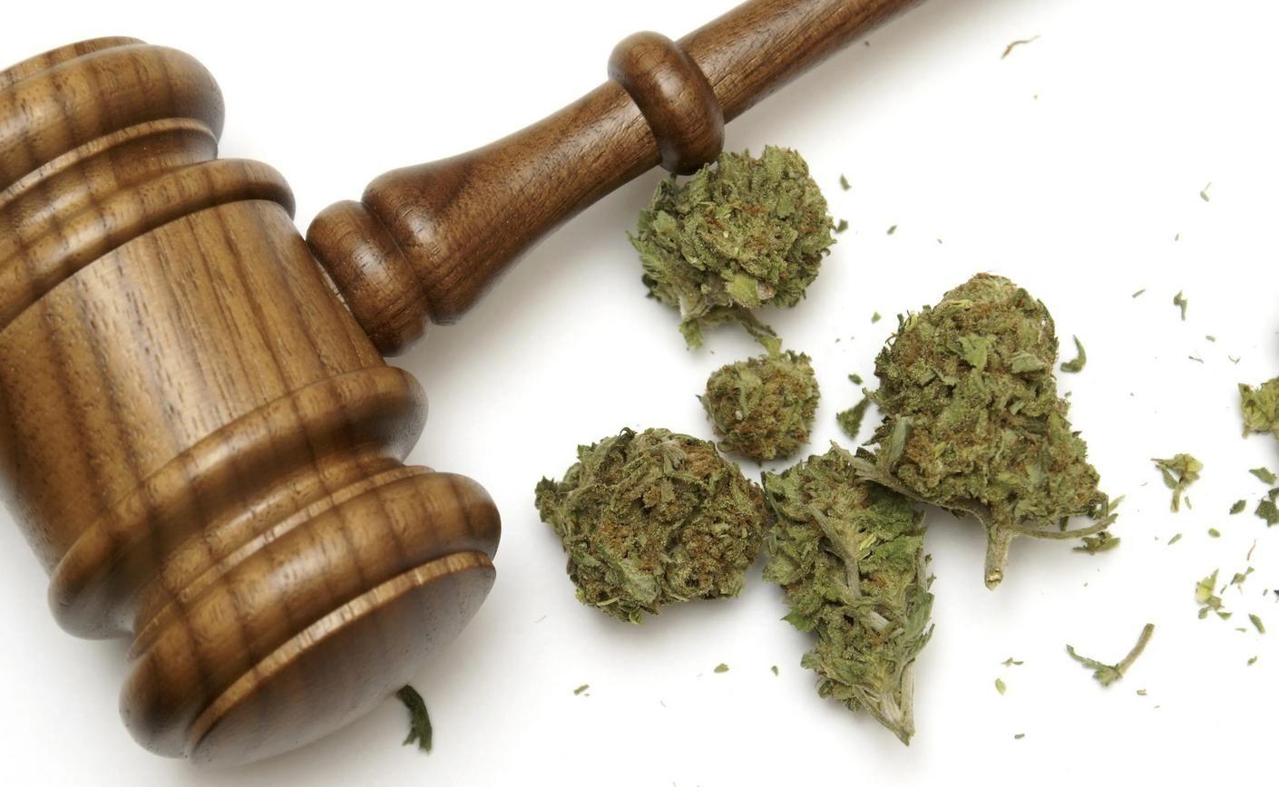 Legalne CBD: decyzja Rady Stanu we Francji