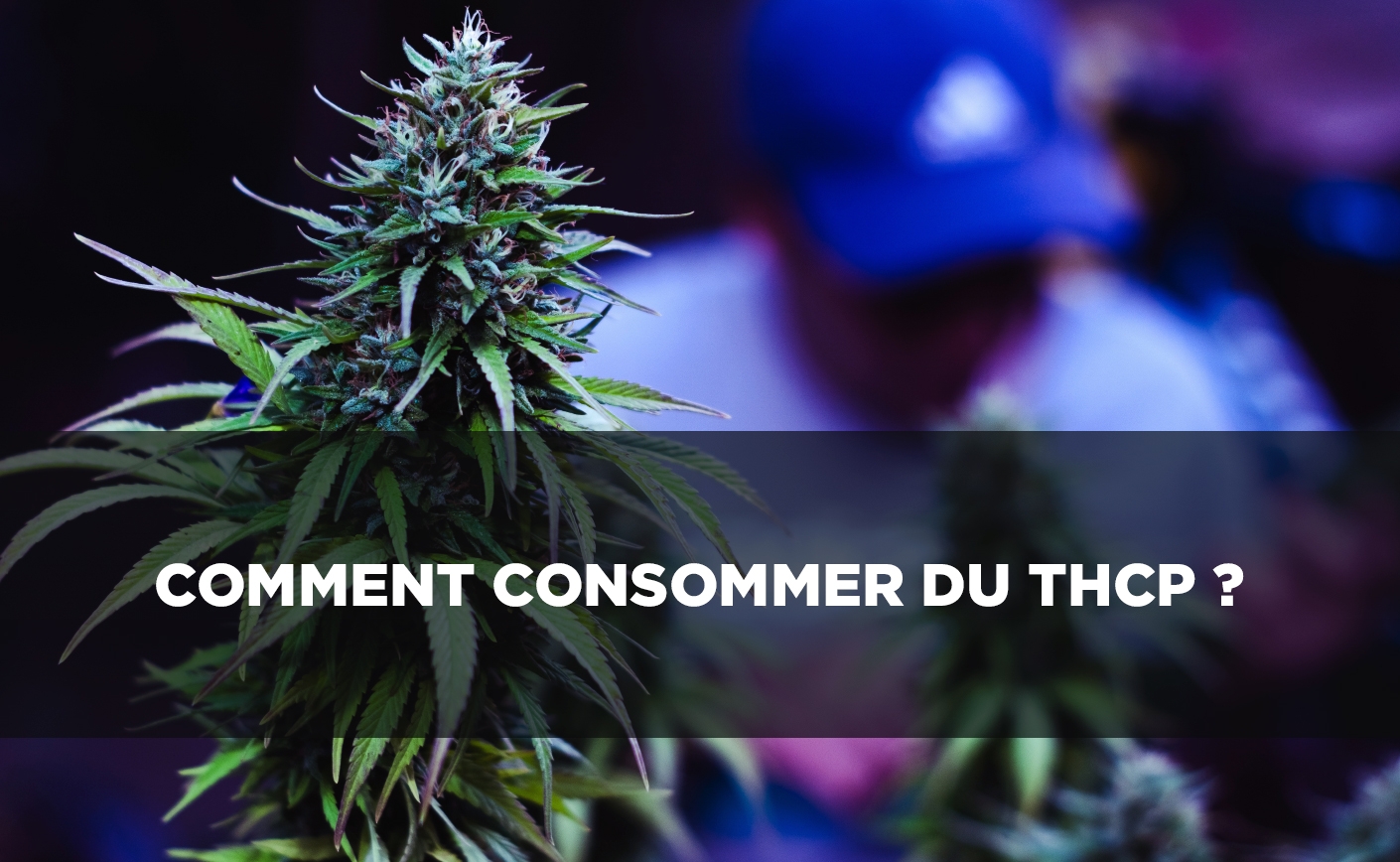 Comment consommer du THCP ?