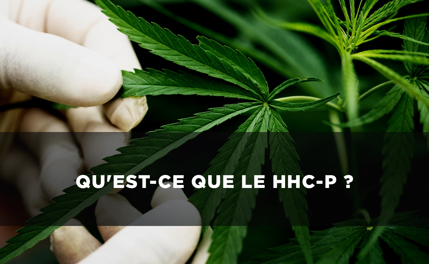 Qu'est-ce que le HHC-P ?