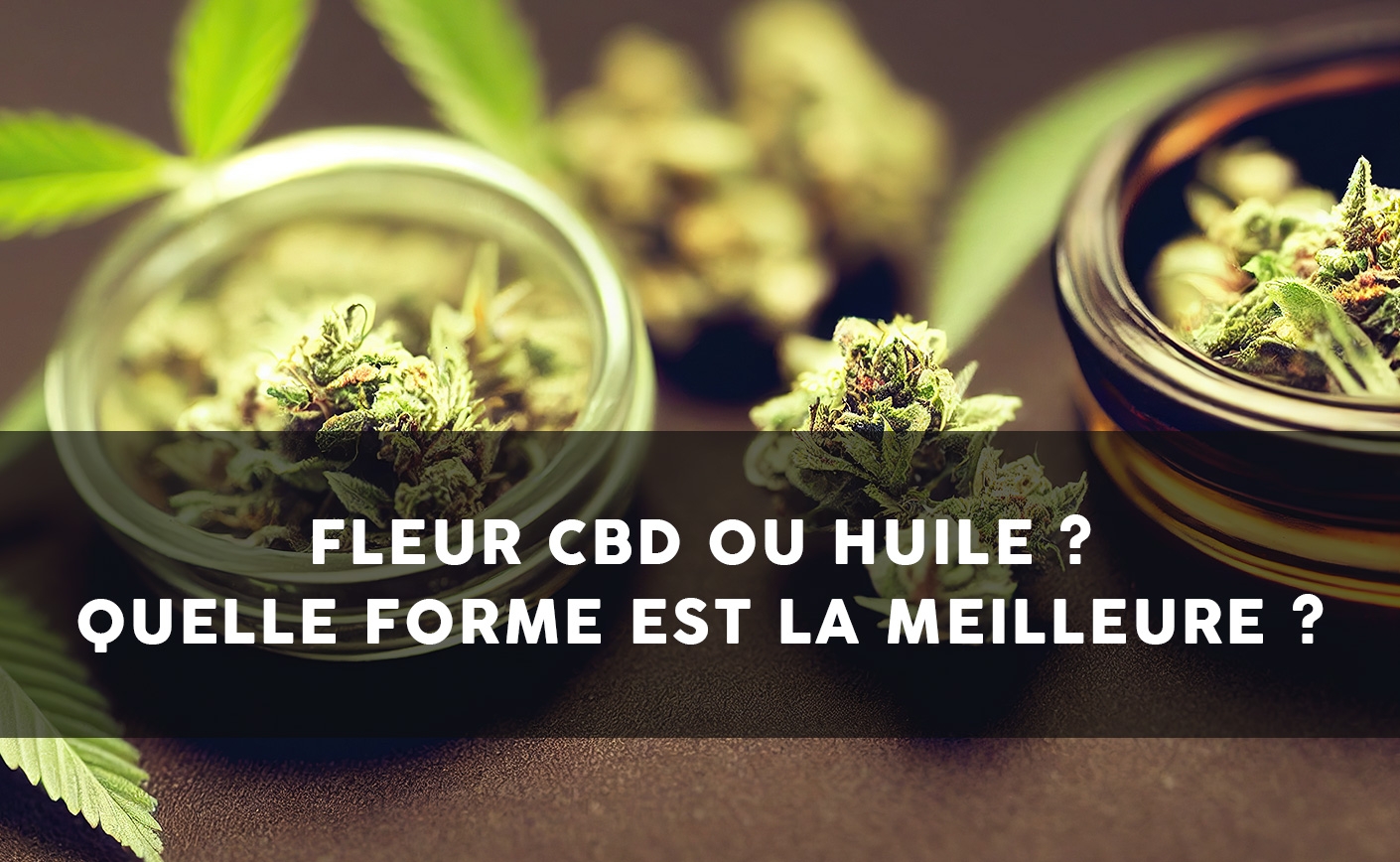 Fleur CBD ou Huile ? Quelle forme est la meilleure ?