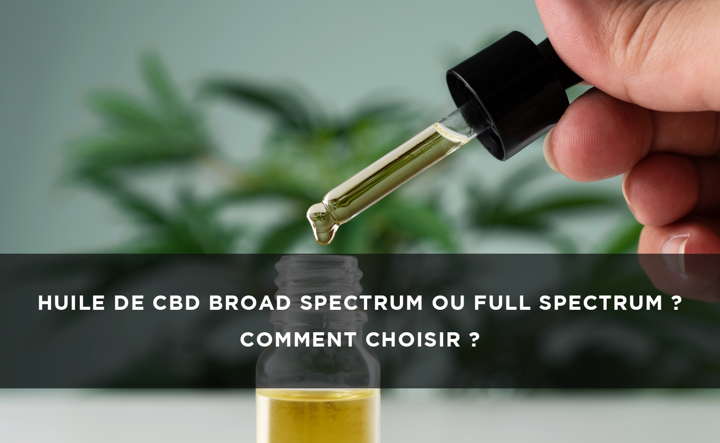 Huile de CBD broad spectrum ou full spectrum ? Comment choisir ?