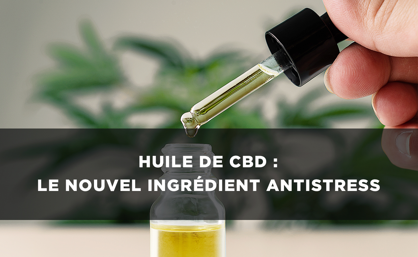 Huile de CBD : le nouvel ingrédient antistress