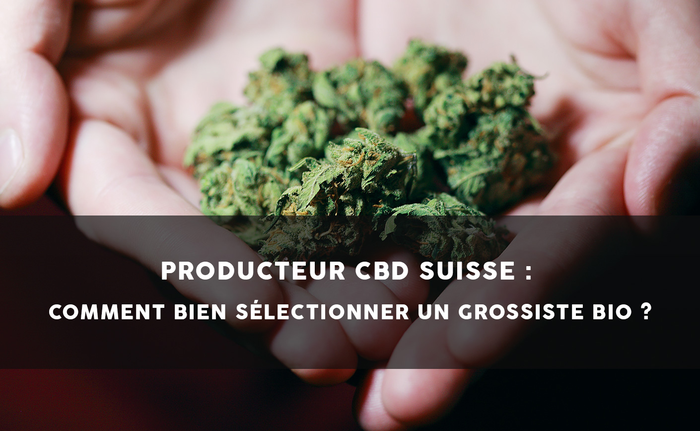 Producteur CBD Suisse : Comment bien sélectionner un grossiste bio ?