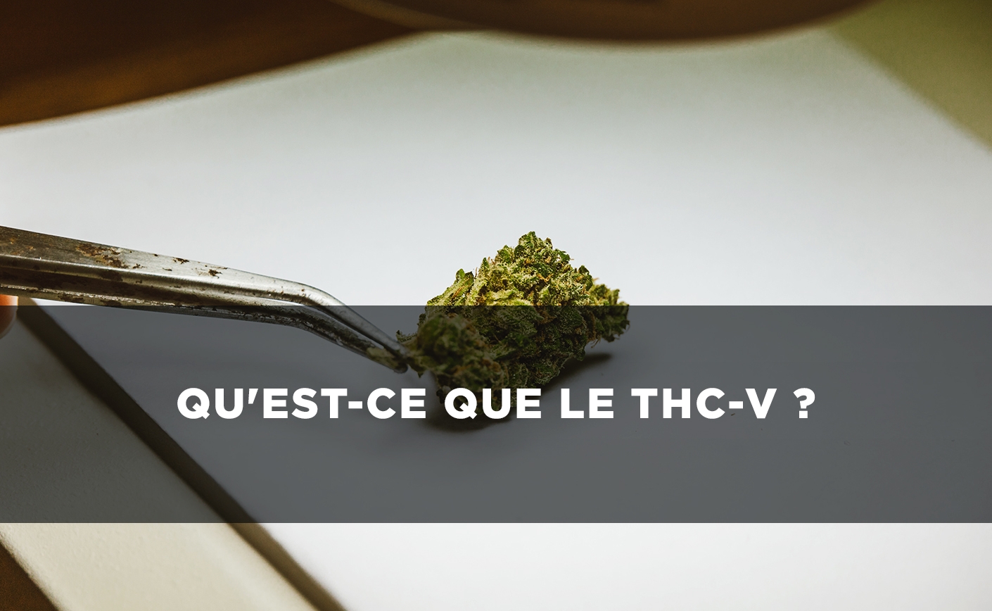 Qu'est-ce que le THCV ?